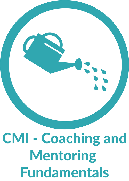 Coaching and Mentoring Fundamentals